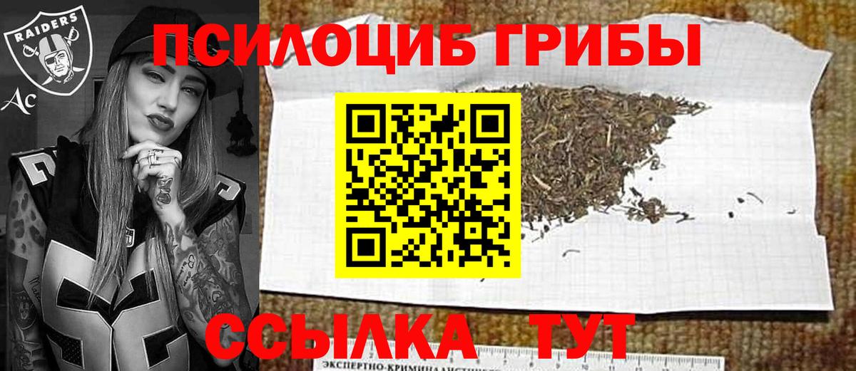 купить   Псилоцибиновые грибы мицелий  Вход с VPN  Галлюциногенные грибы MAGIC MUSHROOMS  Каменск-Уральский 