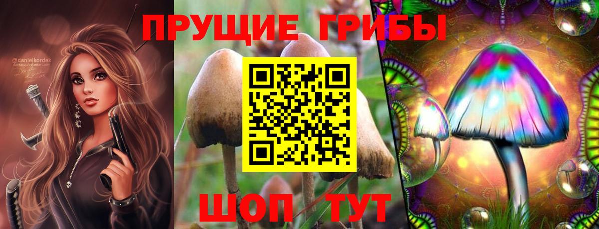 Галлюциногенные грибы прущие грибы Каменск-Уральский